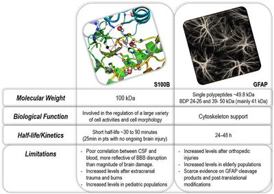 GFAP and S100B: What You Always Wanted to Know and Never Dared to Ask